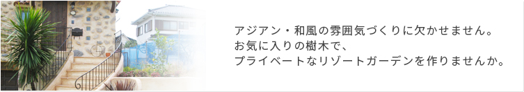 アジアン