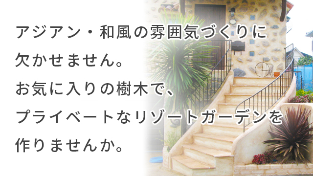 アジアン