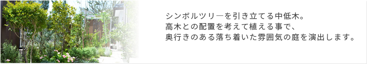 サブツリ―