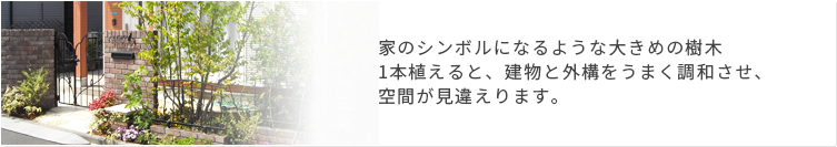 シンボルツリ―